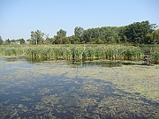 Western Michigan [2009] 370